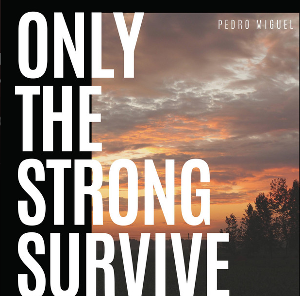 Only the Strong Survive